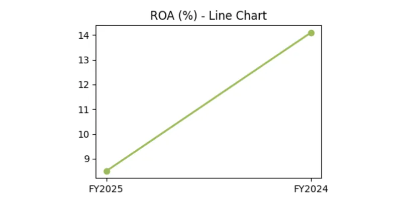 Nike (F.Y. 2024-2025)